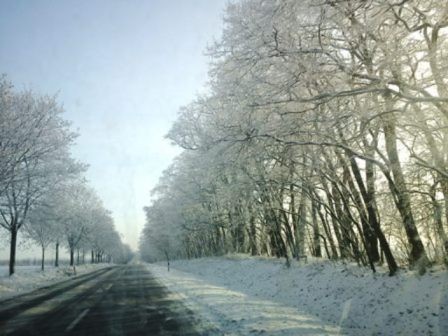 Wodociągi Leszczyńskie - Zanim śnieg stopnieje