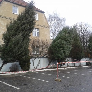 Wodociągi Leszczyńskie - Wichura poszalała